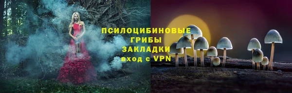 метамфетамин Алексин